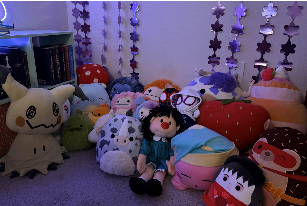 i collect plushies! i have SO many squishmallows, and other plushes, but i can never seem to have enough.